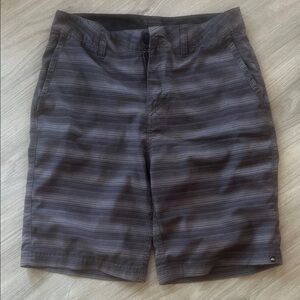 Quicksilver Amphibian Men's Gray Striped Shorts